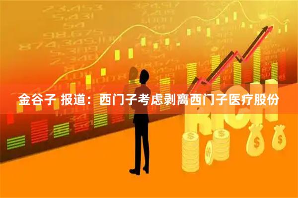 金谷子 报道：西门子考虑剥离西门子医疗股份
