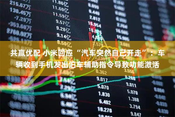 共赢优配 小米回应 “汽车突然自己开走” ：车辆收到手机发出泊车辅助指令导致功能激活