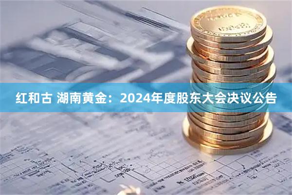 红和古 湖南黄金：2024年度股东大会决议公告