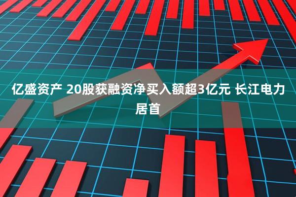 亿盛资产 20股获融资净买入额超3亿元 长江电力居首
