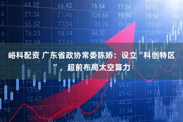 峪科配资 广东省政协常委陈娇：设立“科创特区”，超前布局太空算力